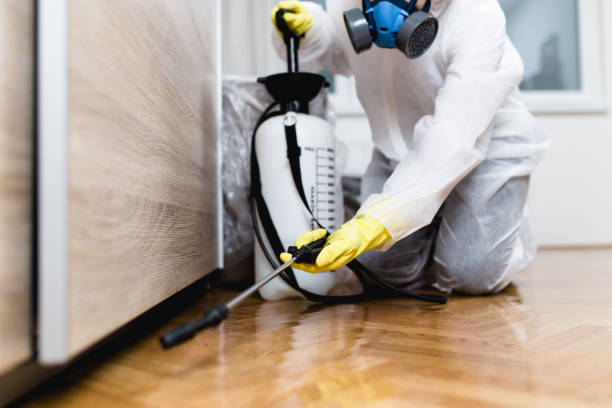 Best Affordable Pest Control Services  in Green Bay, WI
