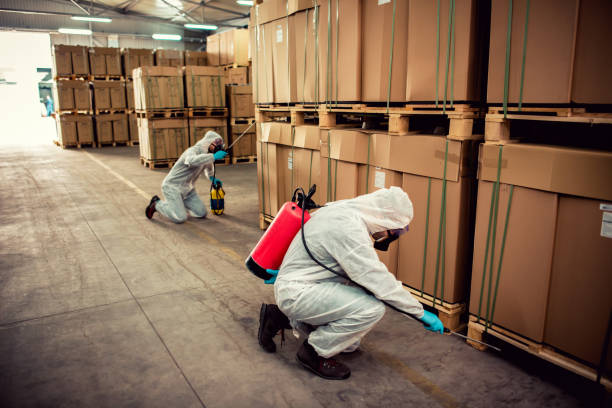 Best Mosquito Control Services  in Green Bay, WI