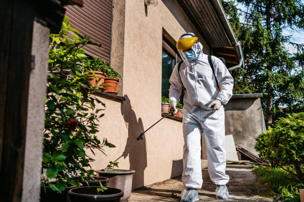 Best Bird Control  in Green Bay, WI