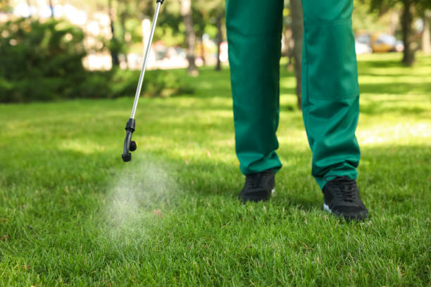 Best Pest Removal Services  in Green Bay, WI