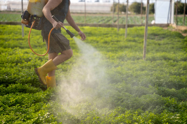 Pest Control for Restaurants in Green Bay, WI