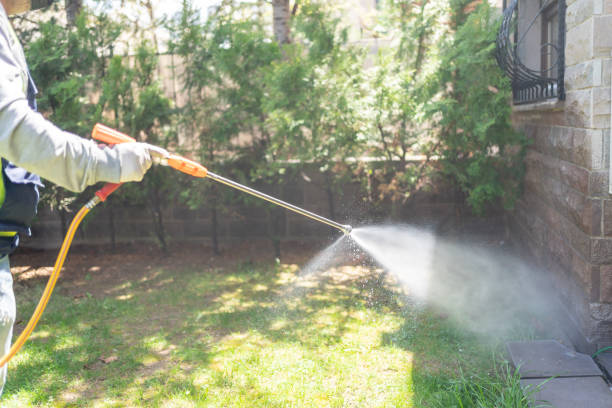 Best Pest Removal Services  in Green Bay, WI