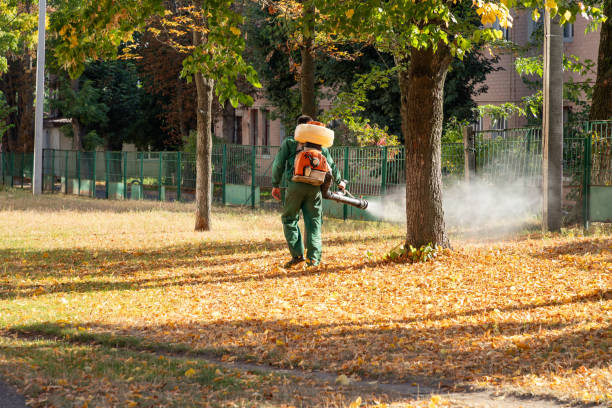 Best Rodent Control Near Me  in Green Bay, WI