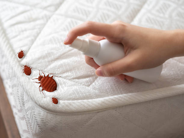 Best Exterminator Services  in Green Bay, WI
