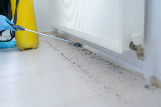 Best Mosquito Control Services  in Green Bay, WI