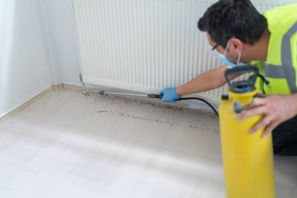 Best Pest Control for Restaurants  in Green Bay, WI