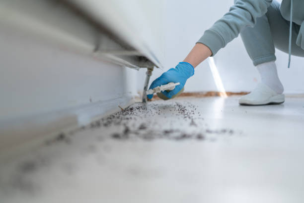 Best Affordable Pest Control Services  in Green Bay, WI
