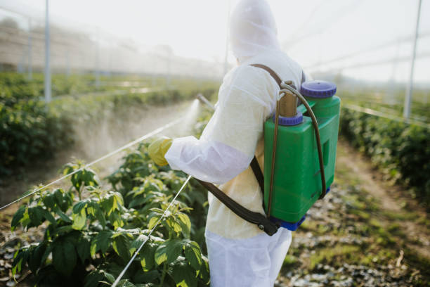 Best Affordable Pest Control Services  in Green Bay, WI